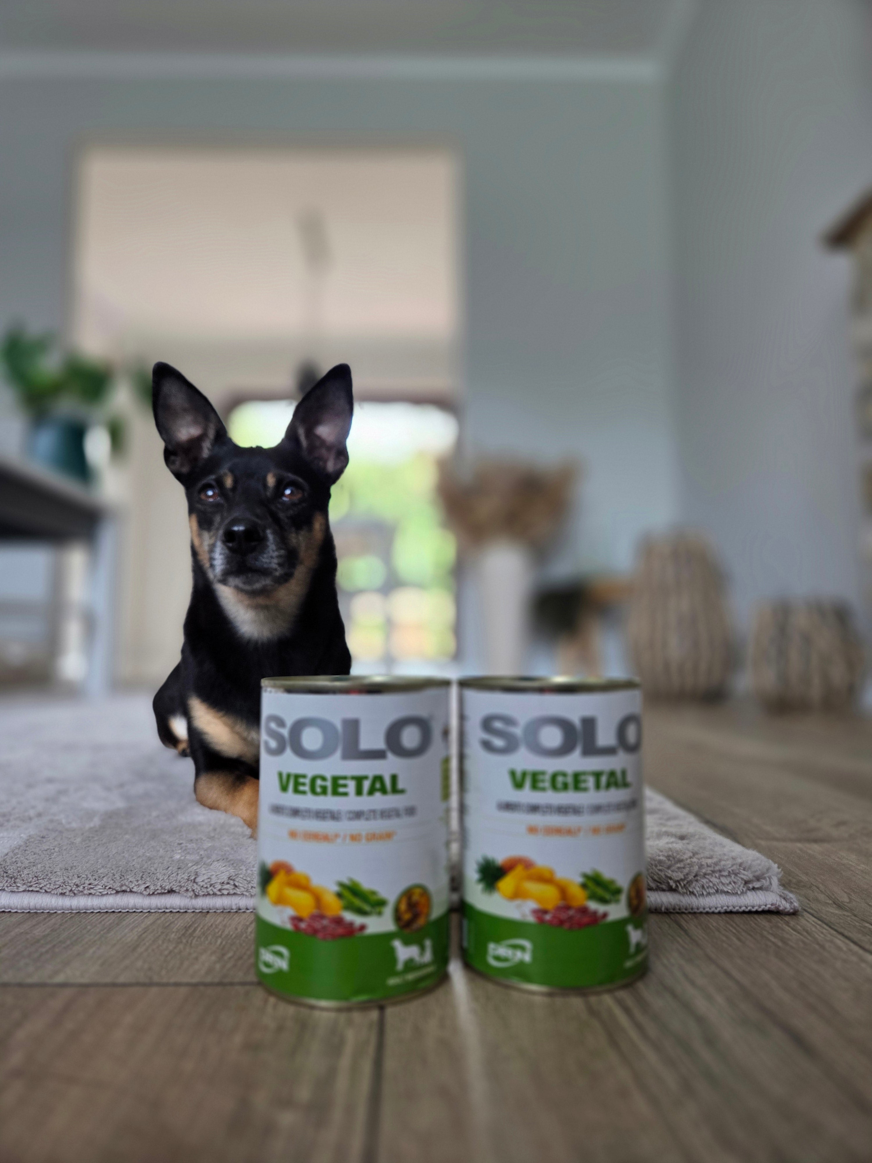Solo Vegetal 12 x 400g