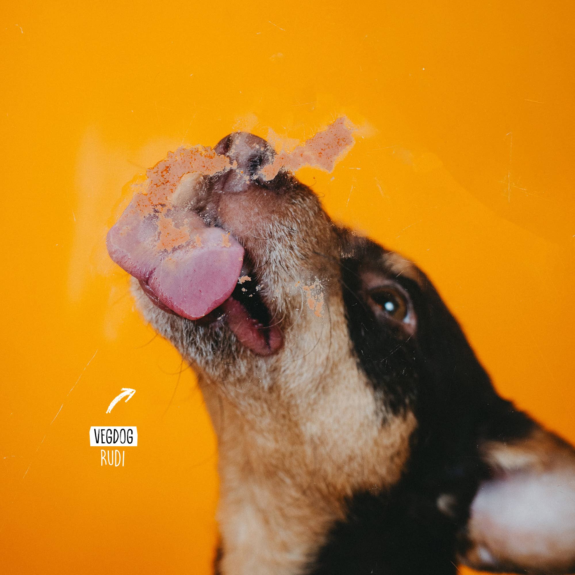 Vegan 'Liver Sausage' Paste