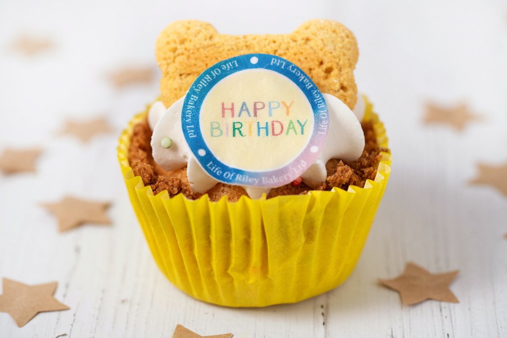 Happy Birthday Pupcake - Vegan & allergy friendly