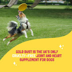 Just Be Kind - GOLD DUST Joint and Heart Supplement