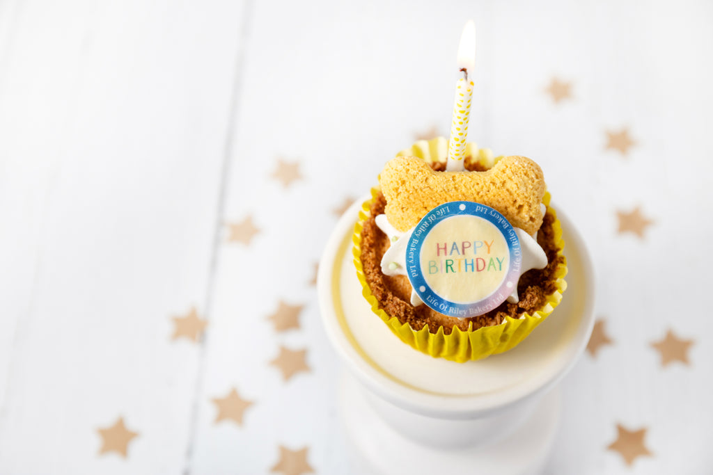 Happy Birthday Pupcake - Vegan & allergy friendly