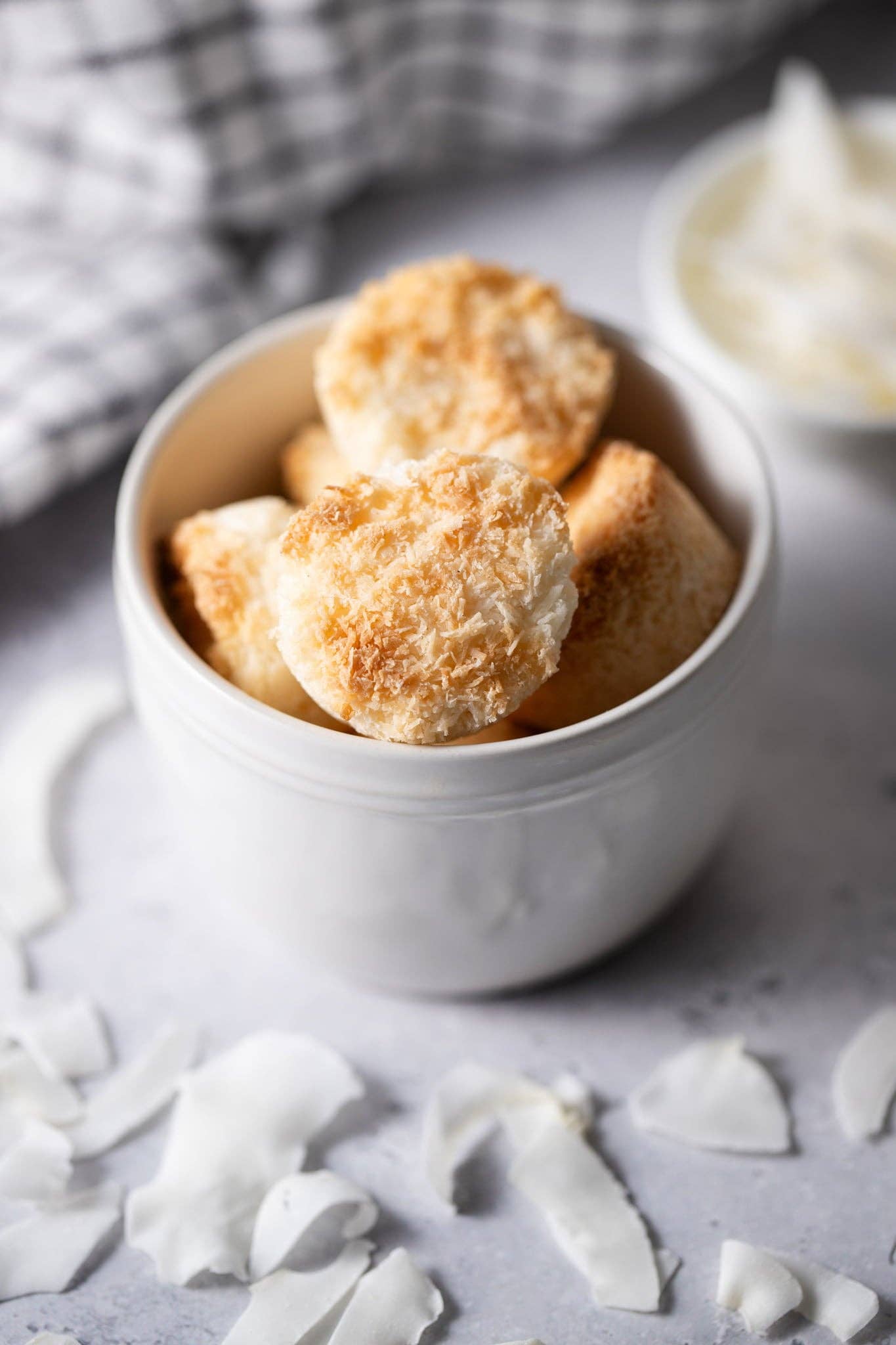 Dog Coconut Macaroons