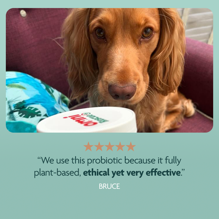 Pre/Pro Biotic supplement for small dogs 15kg or less