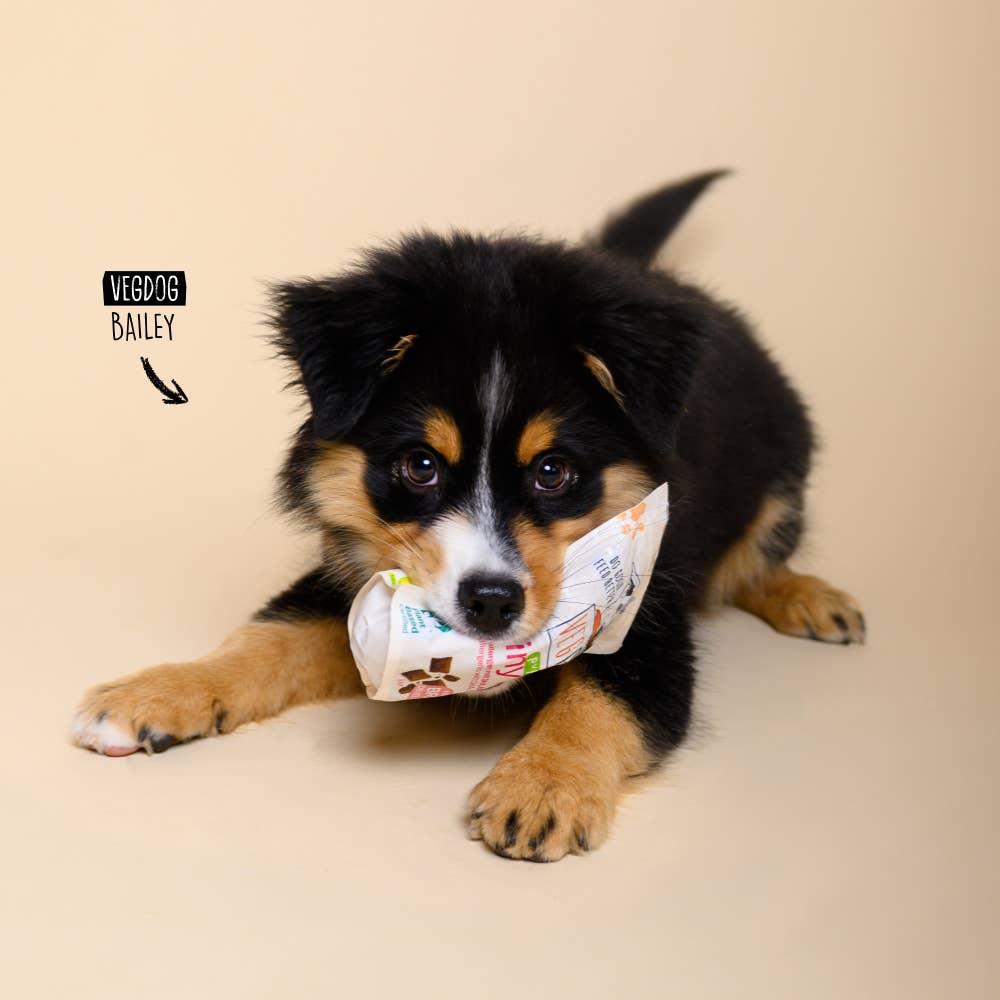 Brainy Bites - Puppies & Adults